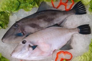 半成品与备料体系：核心目的（先统一认知）